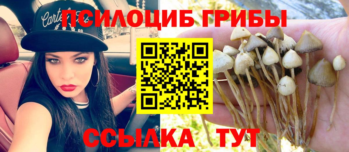 Галлюциногенные грибы ЛСД  где купить наркоту  Борзя  Вход с VPN 